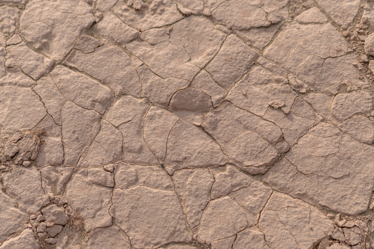 drought ground