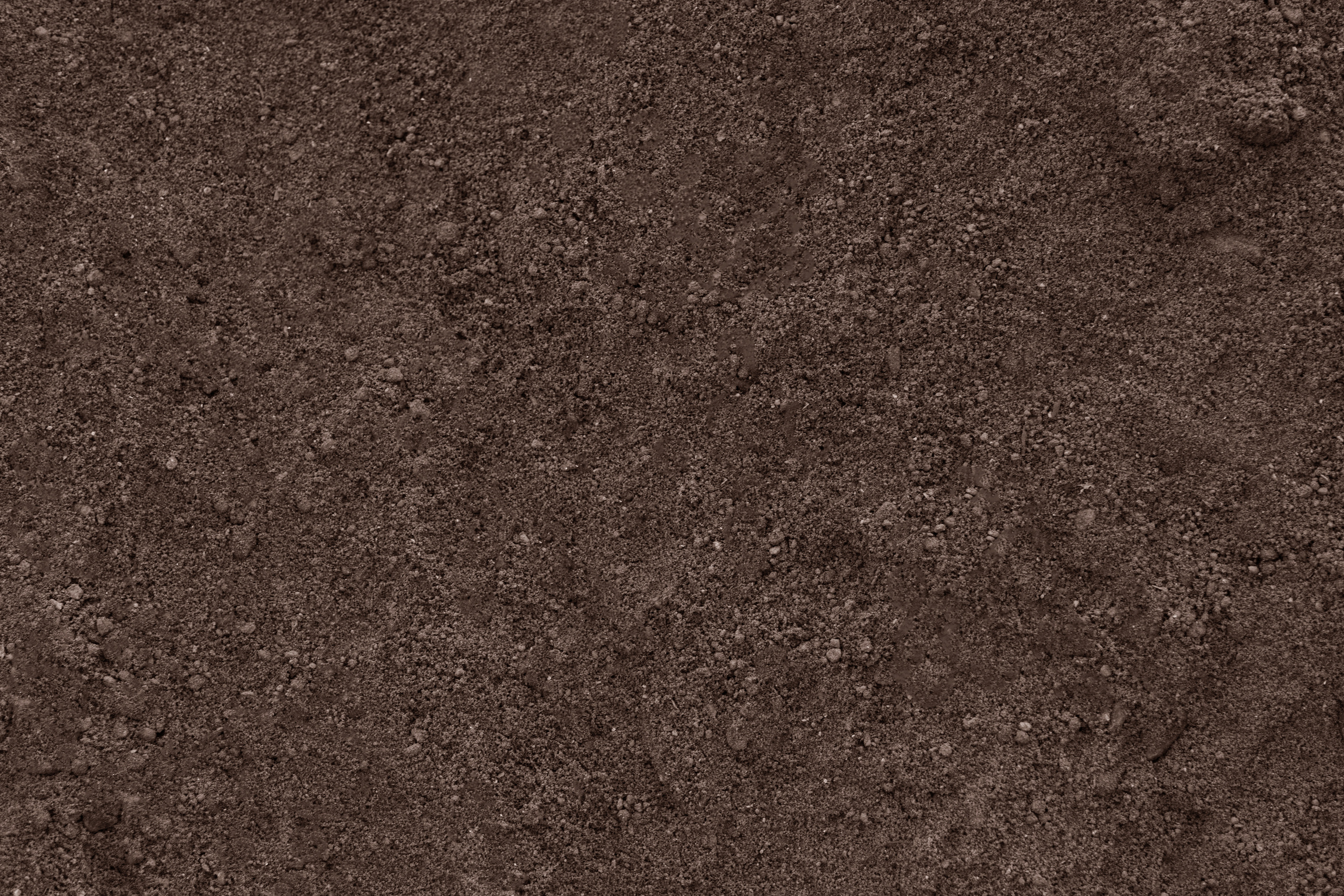 Soil clean ground texture background pattern. Dirt earth brown.