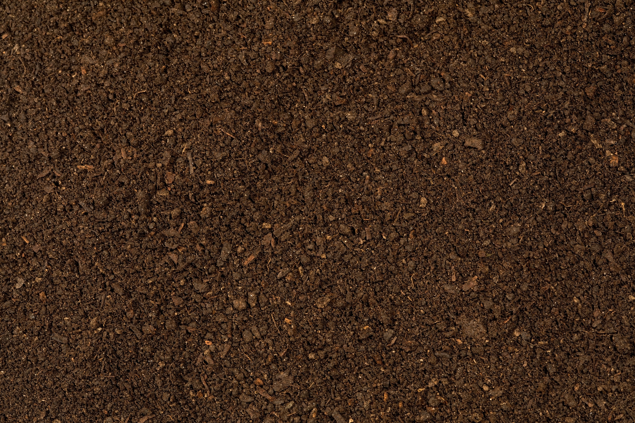 Dirt background